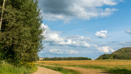 Closed city dump. Restoration of the territory. Landscaping of a large hill of garbage. On the...