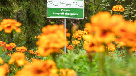 Sign Do Not Walk On The Grass on the defocused yellow flowers on foreground. No Sign Of Trampling The Lawn. Nature concept.の写真素材