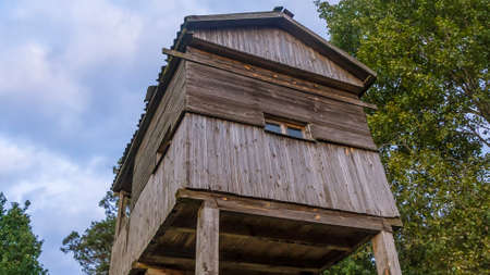 A shooting and observation tower for hunting in the forest at dusk. Wooden lookout tower for hunting in the woods and on meadow.の写真素材