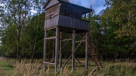 A shooting and observation tower for hunting in the forest at dusk. Wooden lookout tower for hunting in the woods and on meadow.の写真素材