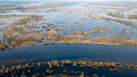 Flooded trees during a period of high water. Trees in water. Landscape with spring flooding of Pripyat River near Turov, Belarus.の写真素材
