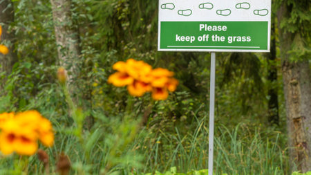 Sign Do Not Walk On The Grass on the defocused yellow flowers on foreground. No Sign Of Trampling...