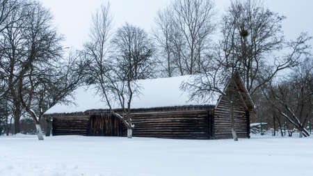 Beautiful winter nature background. Rural landscape with an old barn. Thatched roof barn covered in snow in winter. Nature concept.の写真素材
