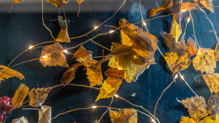 Autumn decoration interior. Light garland and yellow leaves. Cozy minimalist abstract autumn...