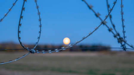 Barbed wire over abstract full moon sky background. Border with barbed wire of prison during night time with moon. Concept picture about escape and freedom.の写真素材