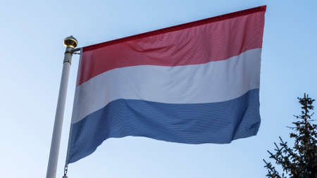 National flag of Holland on a flagpole in front of blue sky with sun rays, lens flare and tree....