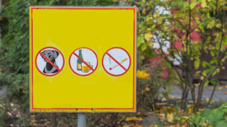 Three prohibiting red signs on a yellow background. No dog, no smoking, no drinks signs. Forbidden concepts.の写真素材