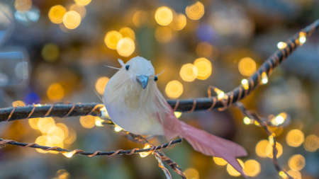 Christmas tree decoration. Toy bird sits om a branch tree in a fairy forest on blurred Christmas background. The concept of New Year and Christmas. Festive decoration.の写真素材