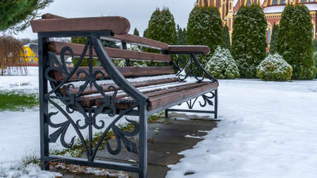 A wooden bench on a lawn covered snow. Landscape design. Juniper and thuja bushes on the background. Winter concepts.の写真素材