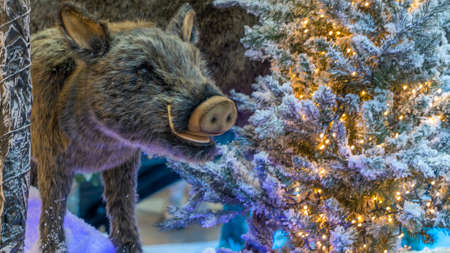 Christmas decoration with toy wild boar, small christmas tree and lights garland. Christmas and Happy New Year concepts. Image for design.の写真素材