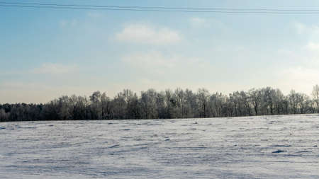 Winter farmland scenery landscape under snow with trees on background. Winter landscape with snow covered countryside. Space for text.の写真素材