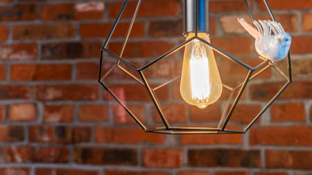 Efficient filament light bulb waste electricity on red brick wall background. Decorative antique edison light bulb with toys of bird. Space for text.の写真素材