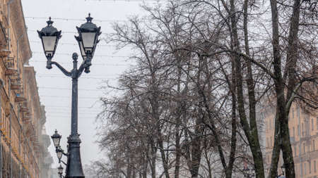 Street lamp seen against bare trees in daytime on a winter evening. Street lantern and bare tree without leaves. Mood concepts. Space for text.の写真素材