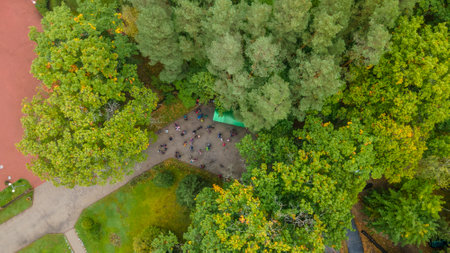 Bus stopping pavilion on a forest road. People get on the bus at the forest stop. nature background. aerial view. Transportation and journey concepts.の写真素材