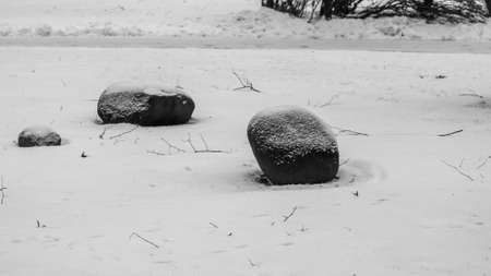 Black and white photo of stones covered with snow in a rockery garden. Stones with snow and ice in nature pattern. winter background. Space for text.の写真素材