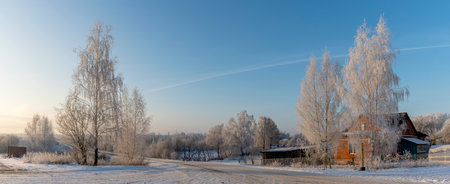 Village house with birch trees in hoarfrost in winter daytime. Snow covered field, some bare deciduous trees, blue sky. Narure background.の写真素材