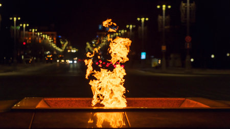 Eternal flame in memory of the fallen wars in the great Patriotic war at night. Defocused...