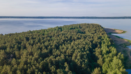 Aerial photo of forest on lakeside and water reservoir lake with sky reflection on water. nature...
