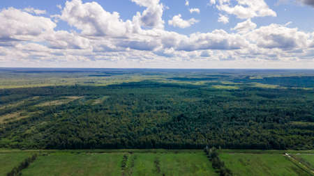 Blue sky panorama with clouds over tops of green trees. Blue sky and white cloud soft. White cloud...