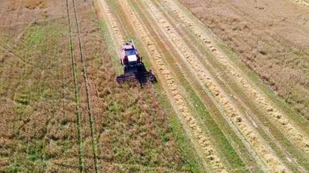 Aerial view combine harvester harvesting on the field. Harvesting wheat. Harvester machine working in the field. agriculture. Large scale wheat harvest operation.の写真素材