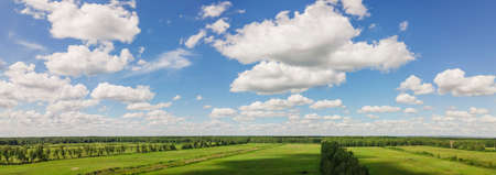 Blue sky panorama with clouds over tops of green trees. Blue sky and white cloud soft. White cloud background. Green tree top line over blue sky and clouds background in summer.の写真素材