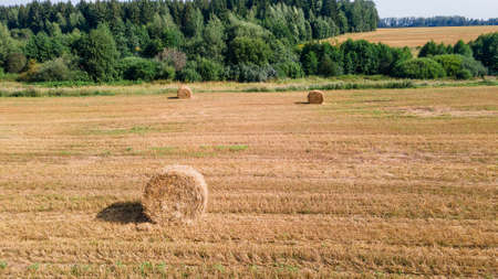 Aerial view of hay bales on the field after harvest. Landscape of straw bales on agricultural field. countryside landscape. Rural nature in the farm land.の写真素材