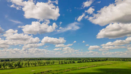 Blue sky panorama with clouds over tops of green trees. Blue sky and white cloud soft. White cloud background. Green tree top line over blue sky and clouds background in summer.の写真素材