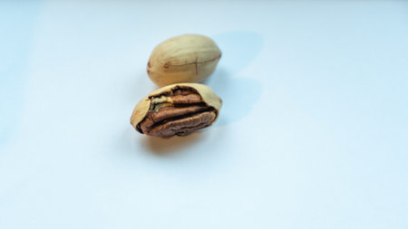 A close-up of an opened pecan nut showcases its rich texture and color against a smooth, homogeneous background. Ideal for highlighting healthy eating or culinary uses. Space available for text.の写真素材