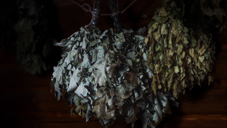 Two oak brooms hang on a rustic wooden wall in a sauna, softly blurred background enhancing the serene atmosphere of relaxation and wellness.の写真素材