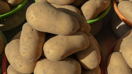 Beautiful large potatoes displayed at the market, showcasing fresh, organic farm products. Perfect for healthy meals, these earthy vegetables highlight the essence of sustainable farming.の写真素材