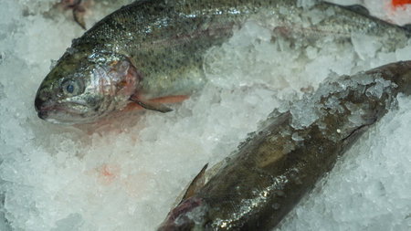 Fresh trout displayed on crushed ice at a seafood market counter. Perfectly chilled for sale,...