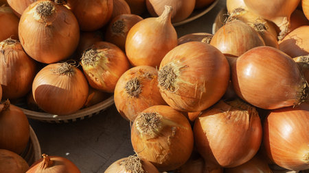 A beautiful large onion displayed at the market, showcasing fresh, organic farm produce. Perfect for culinary creations, this vibrant vegetable highlights the essence of healthy eating.の写真素材