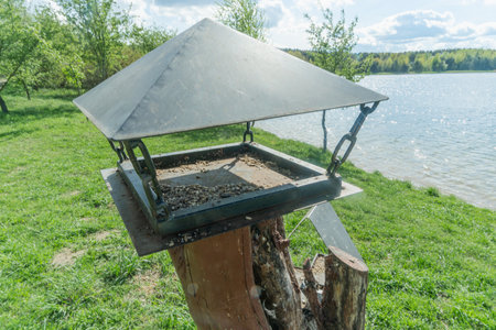Colorful Bird Feeder Attracting Vibrant Birds In A Serene Garden Setting - Nature's Joy And Wildlife Harmony.の写真素材