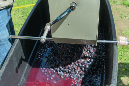 Artisan Wine Press: The Heart of Traditional Winemaking in a Rustic Vineyard Setting. The Art of Winemaking: A Mechanical Wine Press Capturing Tradition and Flavor.の写真素材
