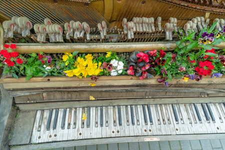 Old piano transformed into a vibrant flower garden on a city street. Urban art installation featuring a piano reborn as a flower bed. Repurposed vintage piano filled with colorful blooms and greenery.の写真素材