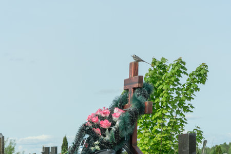 A tranquil wagtail perched on a memorial cross symbolizing hope and remembrance surrounded by...