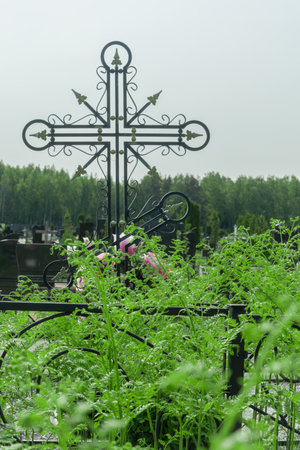 Ornate iron cross in a serene cemetery setting. A black metal cross amidst vibrant ferns represents the juxtaposition of mourning and the vibrant life that continues to thrive in the face of loss.の写真素材
