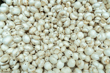Fresh White Button Mushrooms Displayed at a Local Market. Market Fresh White Button Mushrooms...