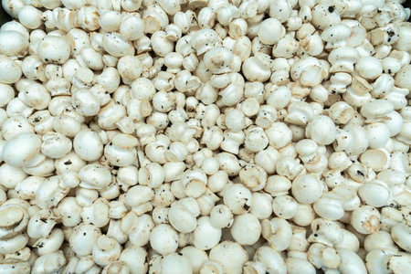 Fresh White Button Mushrooms Displayed at a Local Market. Market Fresh White Button Mushrooms...