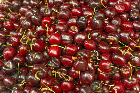 Sweet ripe cherries with stems. Closeup of fresh red cherries with stems showcasing juicy texture...