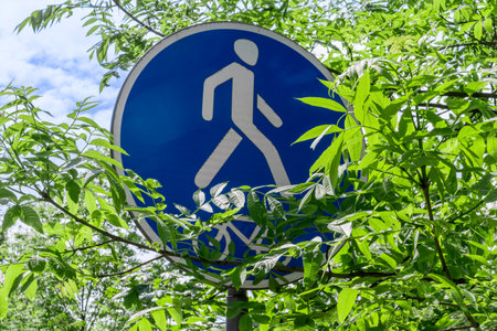 Blue pedestrian path sign partially covered by green leaves in park setting. Eco friendly urban mobility concept with pedestrian sign blending into nature ideal for outdoor lifestyle themes.の写真素材
