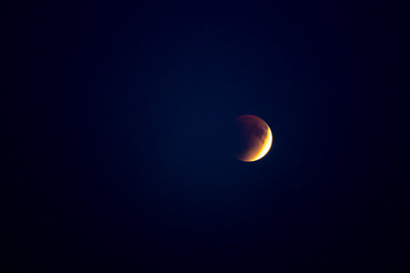 Blood moon over silhouetted trees. Rare celestial event crimson moon casting a glow on the night...