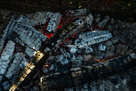 Charred firewood glowing with red embers and white ash in open flame during outdoor burning. The...