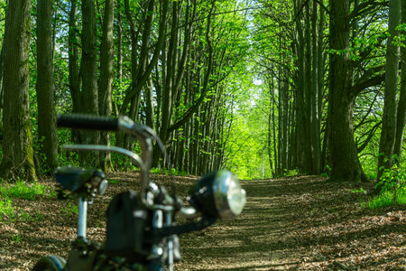 Vintage bicycle headlight in soft focus foreground with sharp forest background and natural light. Old bicycle resting on a sunlit woodland path symbolizing outdoor adventure and eco friendly travel.の写真素材