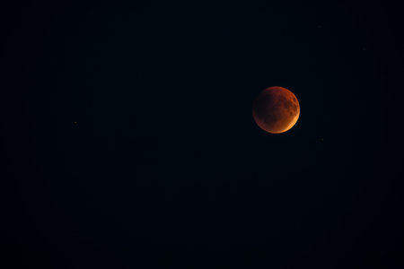 Blood red moon in night sky. Celestial prophecy. Lunar eclipse in dramatic red color with a cosmic...