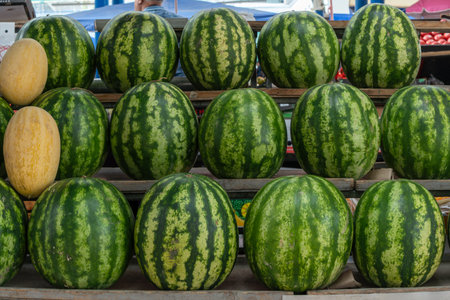 Watermelons and melons stacked at market stall with digital scale. Fresh watermelons and melons arranged in colorful display at local produce market under metal roof.の写真素材