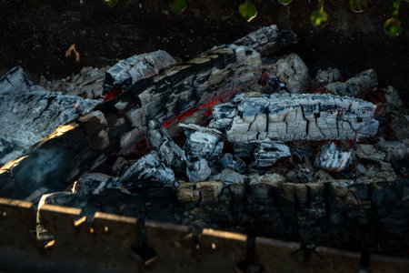 Charred firewood glowing with red embers and white ash in open flame during outdoor burning. The quiet transformation of matter as wood turns to flame ash and ember in elemental cycle of fire.の写真素材