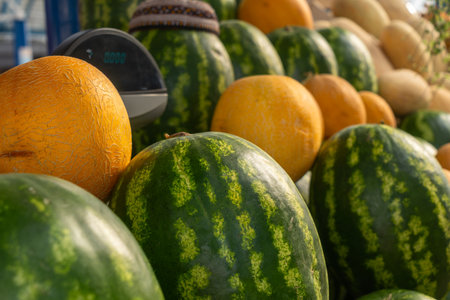 Watermelons and melons stacked at market stall with digital scale. Fresh watermelons and melons arranged in colorful display at local produce market under metal roof.の写真素材