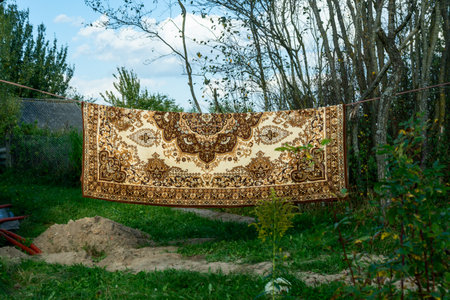 Machine made carpet hanging outdoors on clothesline in rural area. Decorative carpet drying in open air with geometric design and neutral colors in natural setting.の写真素材