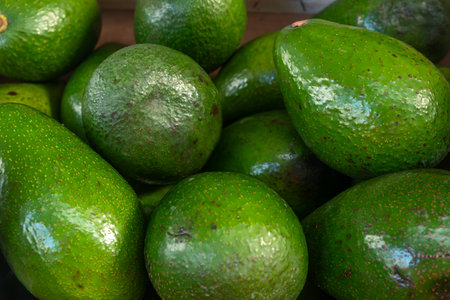 Fresh green avocados with glossy skin in closeup view. Closeup of fresh avocados with natural shine...